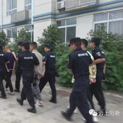 五分彩五分钟一期绿色版V18.54.11.93苹果版本-好用 五分彩五分钟一期绿色版V18.54.11.93苹果版本-好用