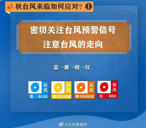 口袋彩店最新版-台风最新消息2024，多股台风接连生成，华南华东需高度警惕