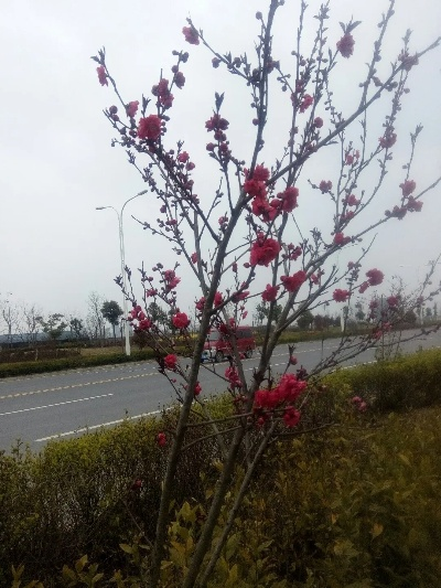 宜城天气预报，古城风韵与气象变幻的交响曲