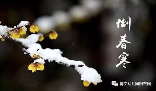 房县天气预报，春日多变，出行需备伞