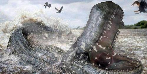 被遗忘的巨兽，当泰培掠过太平洋