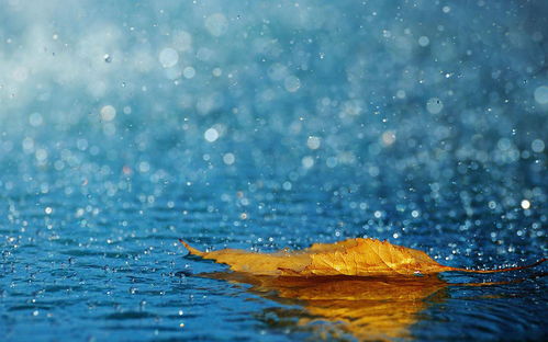 吉首天气预报，雨雾中的边城，冷暖自知的烟火人间