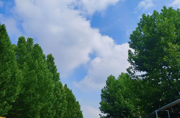 博兴天气，小城天空的四季叙事
