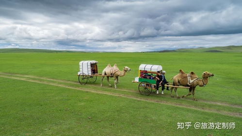 呼伦贝尔天气，草原上的四季交响曲