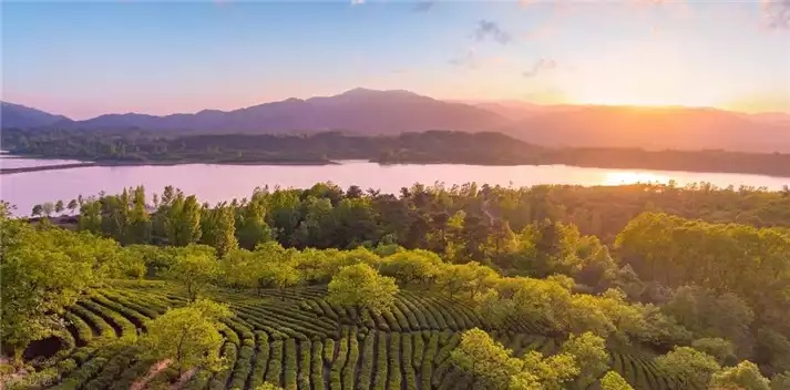 信阳天气预报，山水茶都的四季物语与生活指南