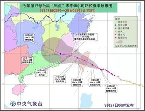 追风者的眼睛，中央气象台台风网实时路径如何守护万家灯火