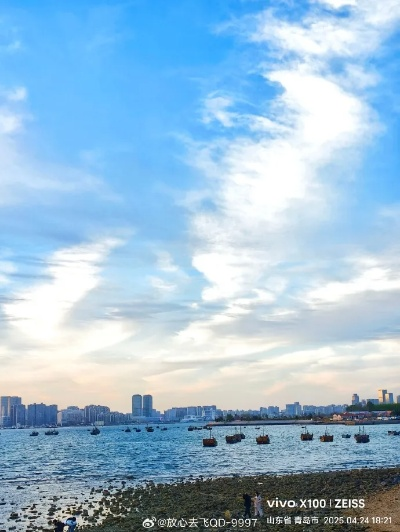青岛的天气，海风里的四季诗篇