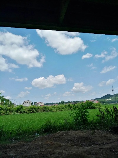 谷城天气预报，天气变幻中的乡村生活智慧