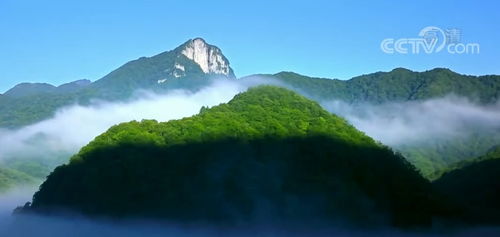 探秘北纬31°的绿色奇迹，神农架旅游全攻略