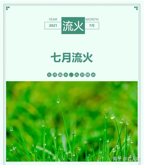 七月流火,30天天气预报里的盛夏密码 七月流火,30天天气预报里的盛夏密码